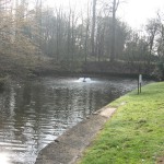 park near Atomium