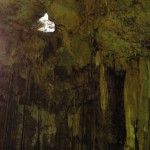 Cenotes