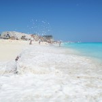 Hotel Grand Oasis