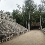 Cobá