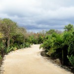 Tulum