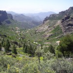 Beautiful nature along the way to Roque Nublo