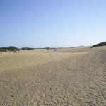 Pieskové duny Maspalomas