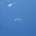 Molokini