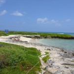 Popoia Island State Bird Sanctuary