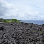 cesta do MacKenzie State Park