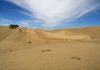 Gran Canaria – Escape to the warmth