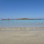 Fig Tree Bay