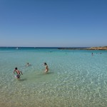 Fig Tree Bay