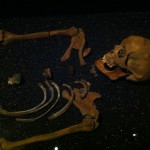 Vasa Museum