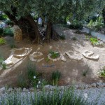 Gethsemane Garden