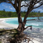 Anse Cocos