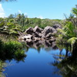 Grand Anse