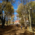 Bouzov Castle