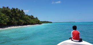 Maldives – Turtles, octopuses and mantas at Fehendhoo Plavba na Fehendhoo