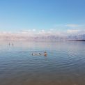 Ein Bokek Beach