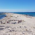 Platja de Ses Illetes