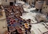 Tanneries
