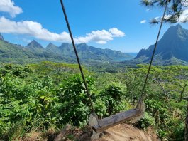 Moorea without a travel agency